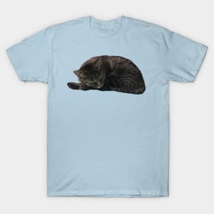 Comfy Kitty T-Shirt